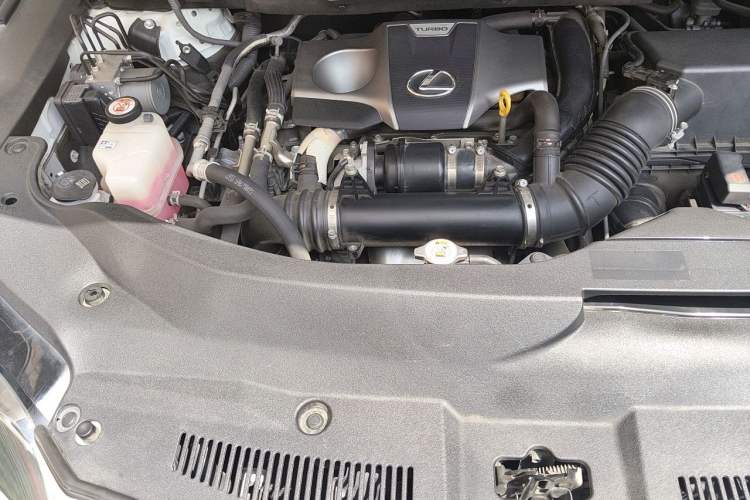 Used Lexus RX 2020 Revised Version 300 Two-Wheel Drive Comfort Edition Engine Bay Right