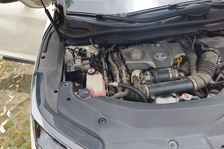 Used Lexus RX 2020 300 Two-Wheel Drive Elite Edition China VI Standard Engine Bay Right