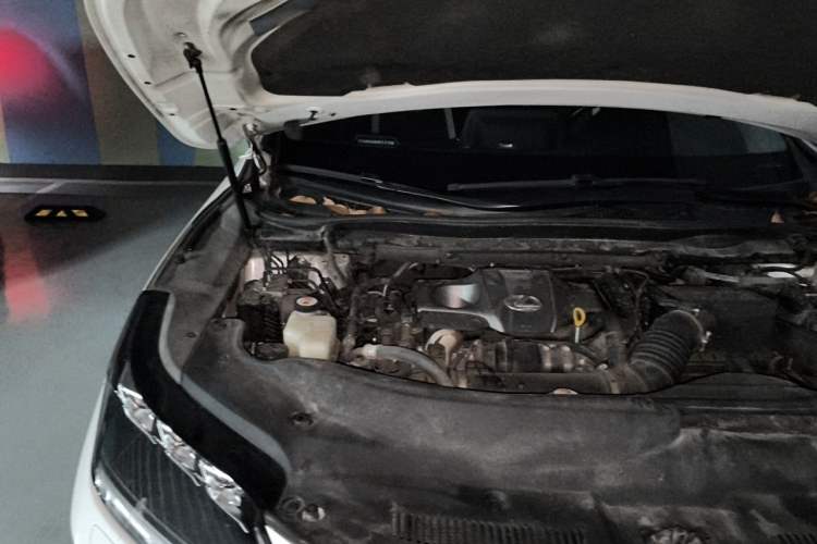 Used Lexus RX 2020 300 4x4 Elegant Edition China VI Engine Bay Right