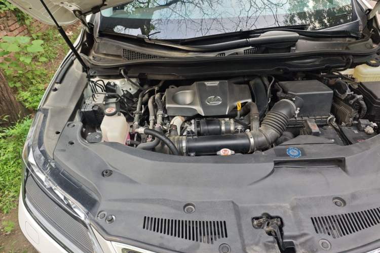 Used Lexus RX 2020 300 4x4 Elegant Edition China VI Engine Bay Right