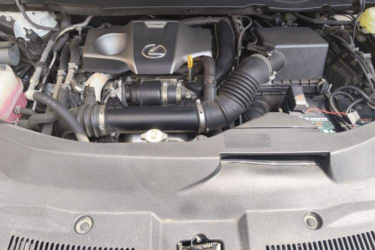 Used Lexus RX 2020 Revised Version 300 Two-Wheel Drive Comfort Edition Engine Bay