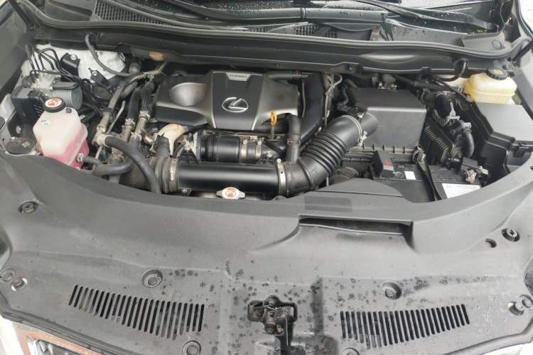 Used Lexus RX 2020 Revised Version 300 Two-Wheel Drive Comfort Edition Engine Bay