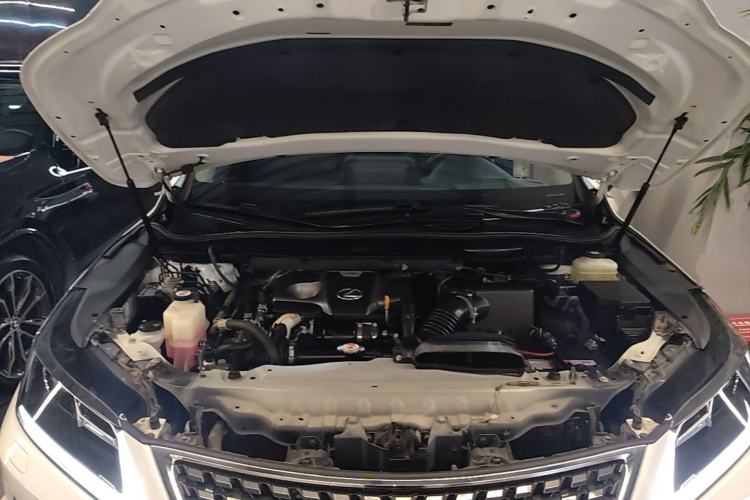 Used Lexus RX 2020 Revised Version 300 Two-Wheel Drive Elite Edition Engine Bay