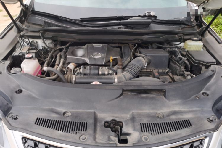 Used Lexus RX 2020 300 Two-Wheel Drive Elite Edition China VI Standard Engine Bay