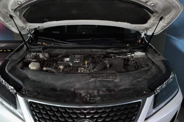 Used Lexus RX 2020 300 4x4 Elegant Edition China VI Engine Bay