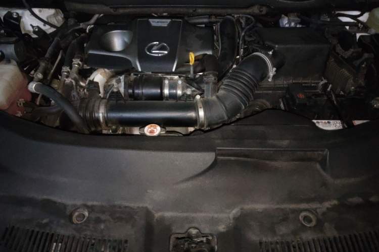 Used Lexus RX 2020 Revised Version 300 Two-Wheel Drive Elite Edition Engine Bay