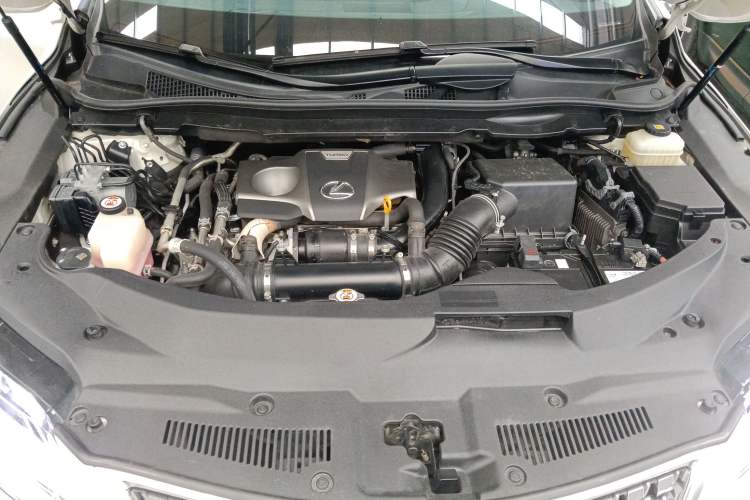 Used Lexus RX 2020 300 4x4 Elegant Edition China VI Engine Bay