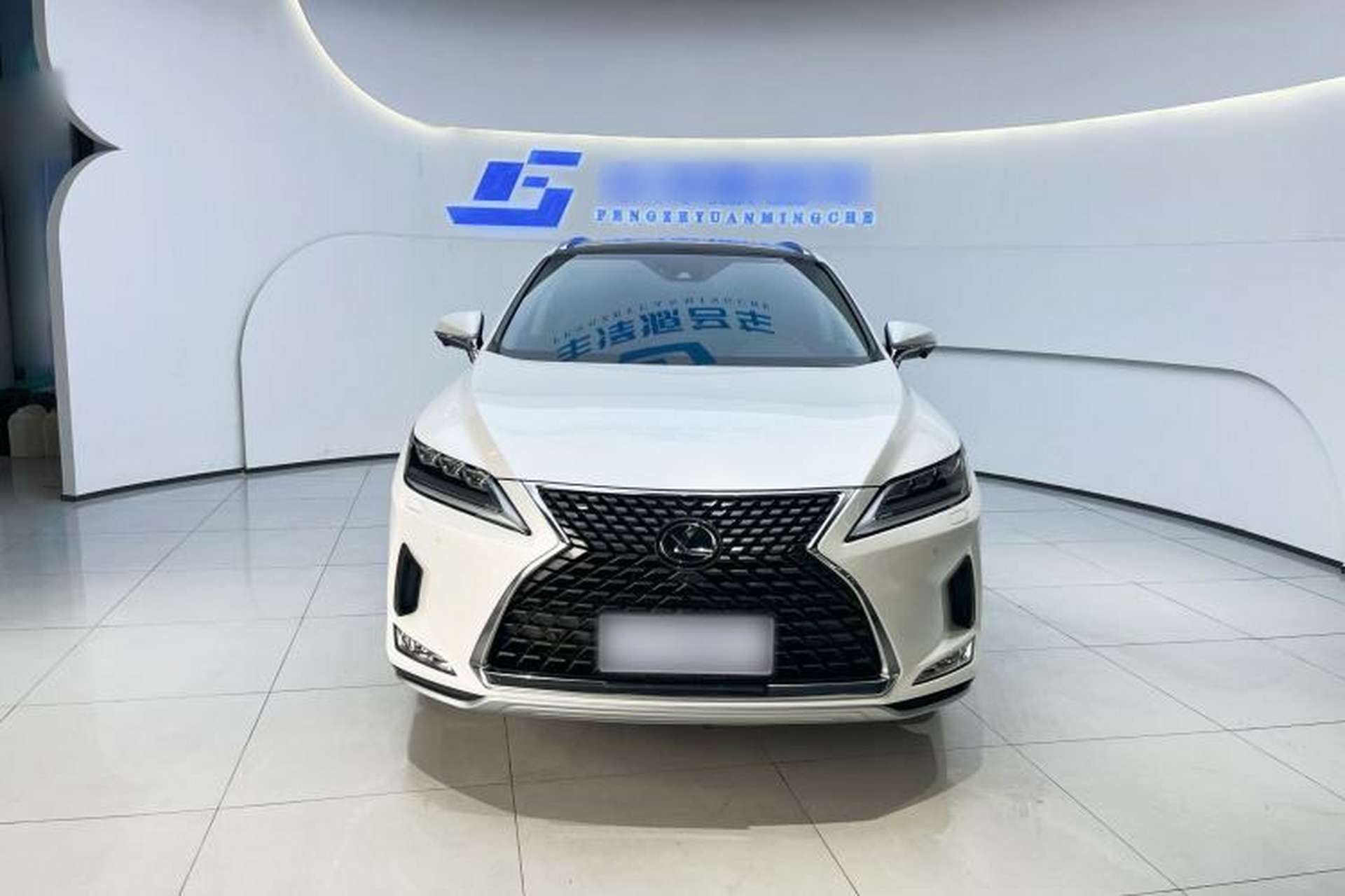 Used Lexus RX 2020 Facelifted 300 4x4 Elegant Edition Exterior 1