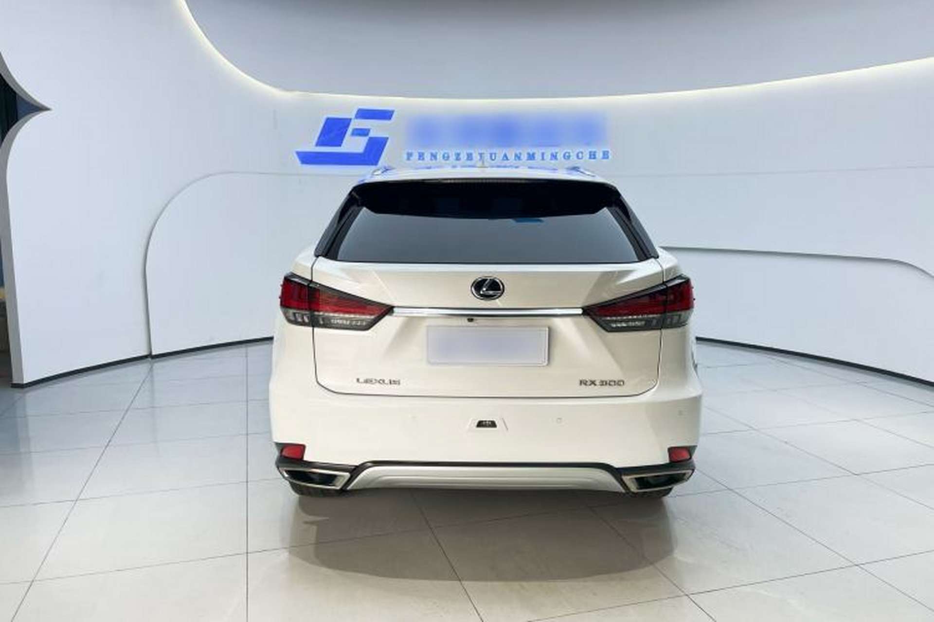 Used Lexus RX 2020 Facelifted 300 4x4 Elegant Edition Exterior 3