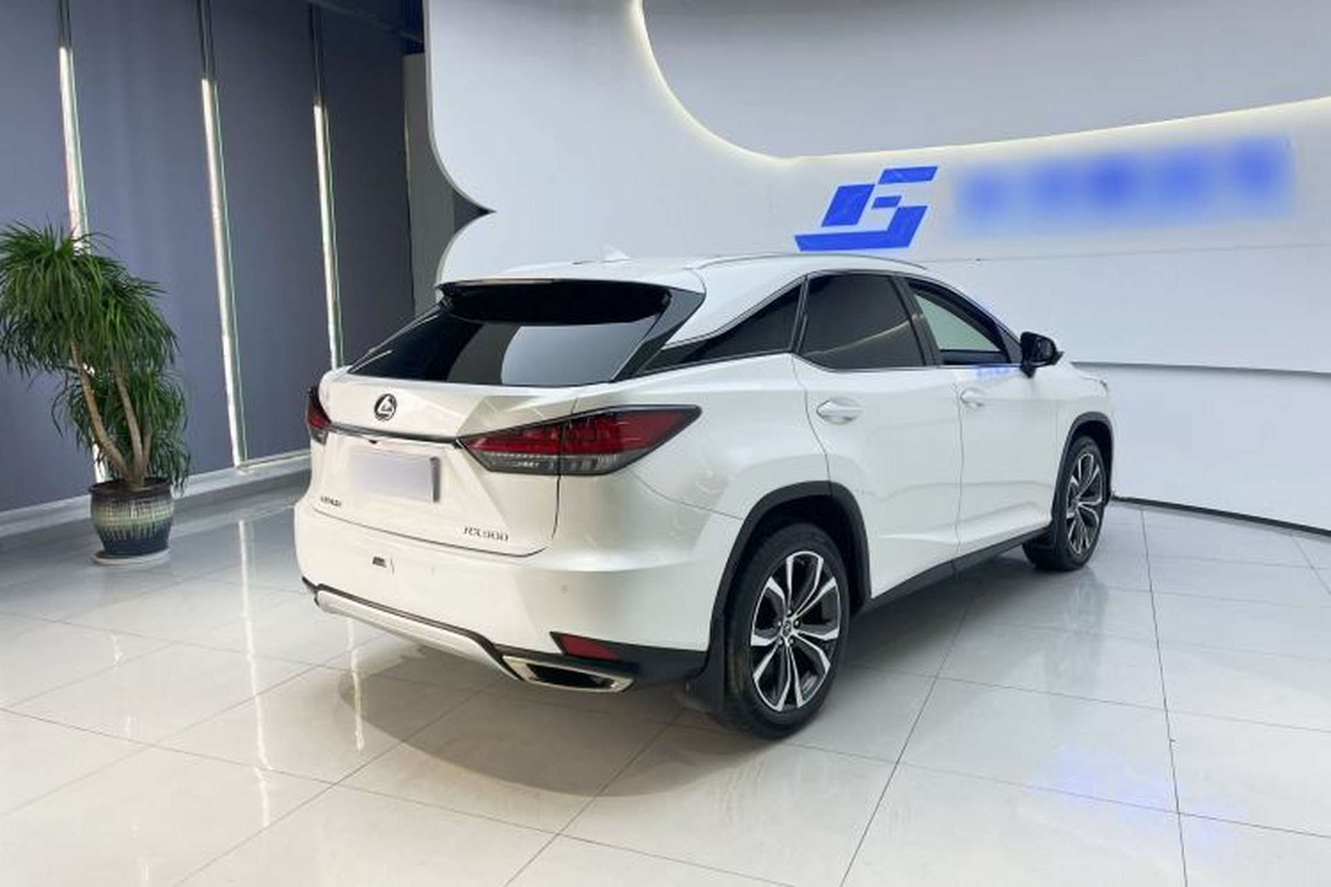 Used Lexus RX 2020 Facelifted 300 4x4 Elegant Edition Exterior 4