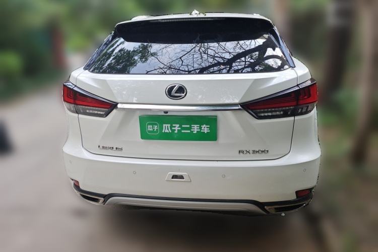 Used Lexus RX 2020 300 4x4 Elegant Edition China VI Exterior 4