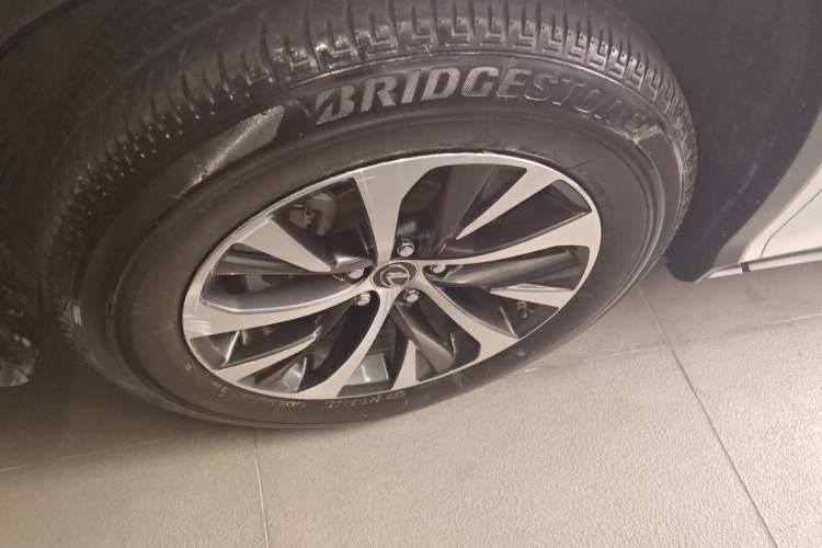 Used Lexus RX 2020 Revised Version 300 Two-Wheel Drive Elite Edition Exterior 4