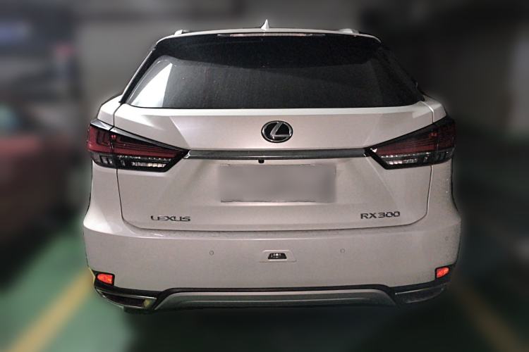 Used Lexus RX 2020 Facelifted 300 4x4 Elegant Edition Exterior 4