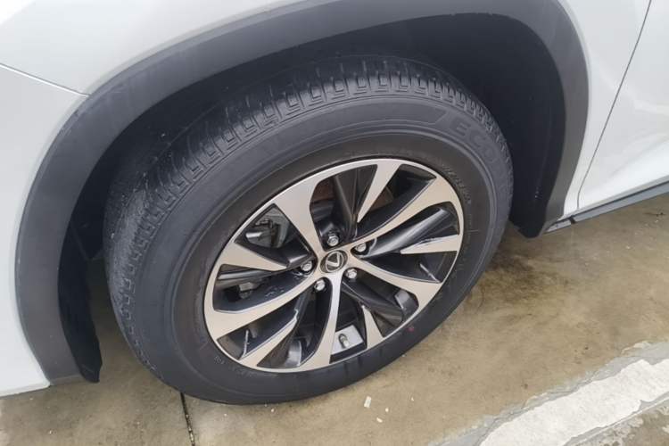 Used Lexus RX 2020 Revised Version 300 Two-Wheel Drive Elite Edition Exterior 4