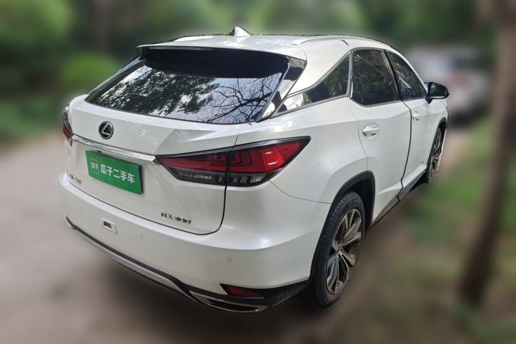 Used Lexus RX 2020 300 4x4 Elegant Edition China VI Exterior 5