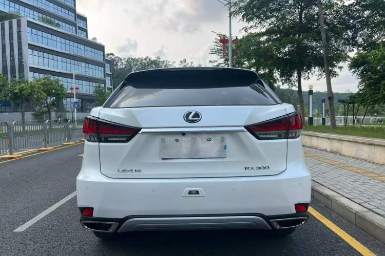 Used Lexus RX 2020 Facelifted 300 4x4 Elegant Edition Exterior 5