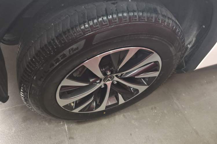 Used Lexus RX 2020 Revised Version 300 Two-Wheel Drive Elite Edition Exterior 5