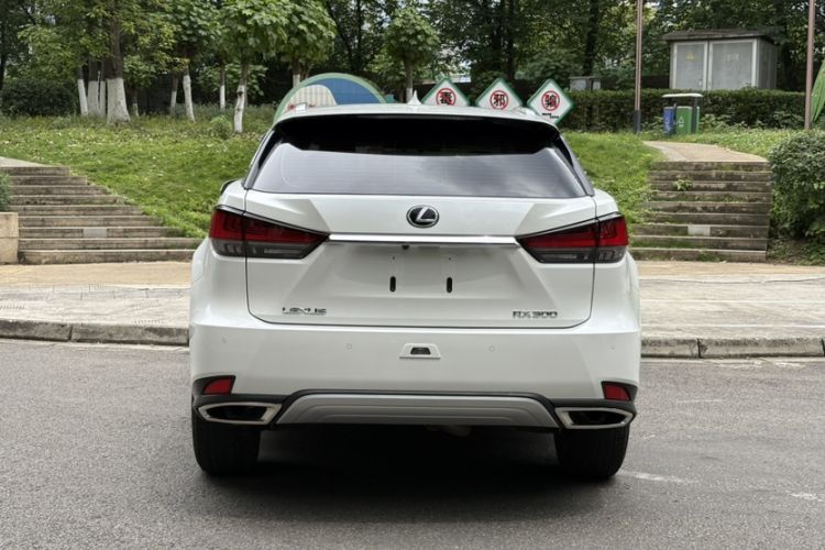 Used Lexus RX 2020 Revised Version 300 Two-Wheel Drive Elite Edition Exterior 5