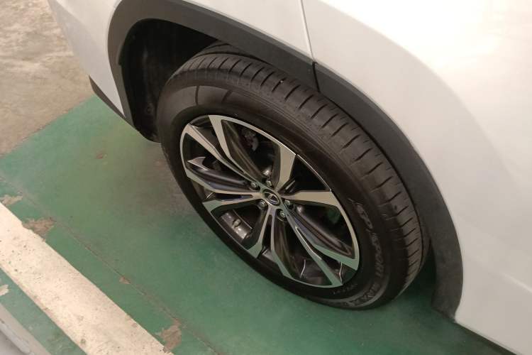 Used Lexus RX 2020 300 4x4 Elegant Edition China VI Exterior 5