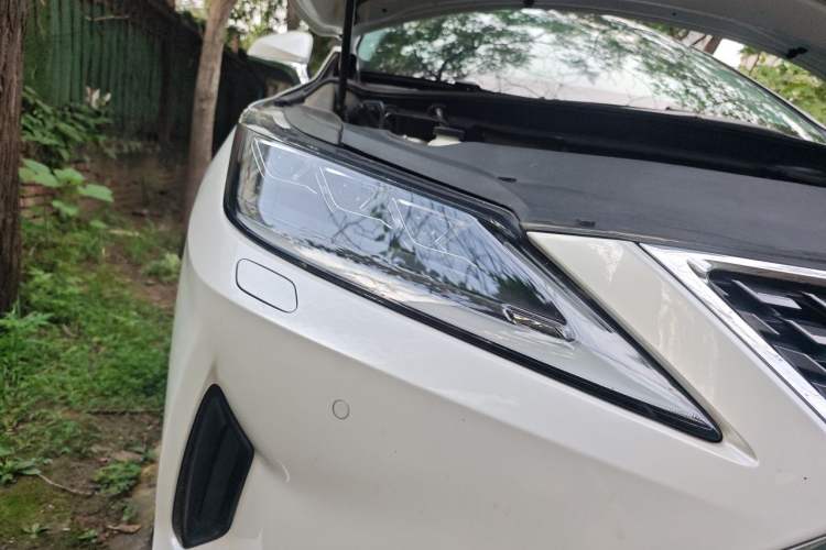 Used Lexus RX 2020 300 4x4 Elegant Edition China VI Exterior 6