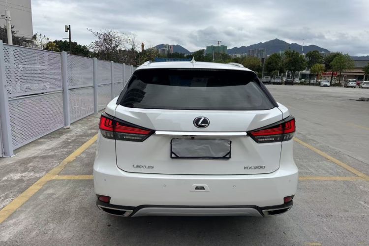 Used Lexus RX 2020 300 Two-Wheel Drive Elite Edition China VI Standard Exterior 6