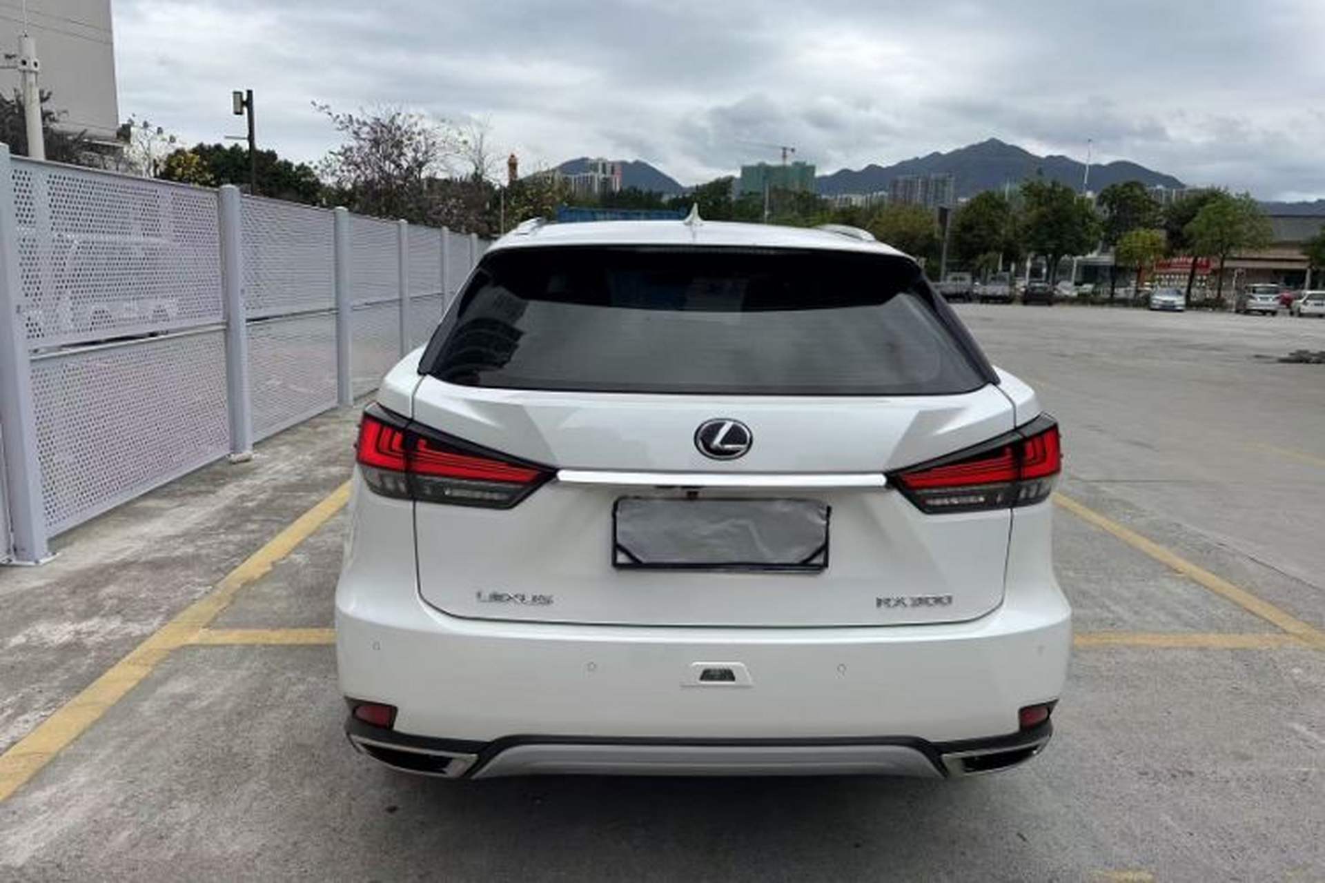 Used Lexus RX 2020 300 Two-Wheel Drive Elite Edition China VI Standard Exterior 6