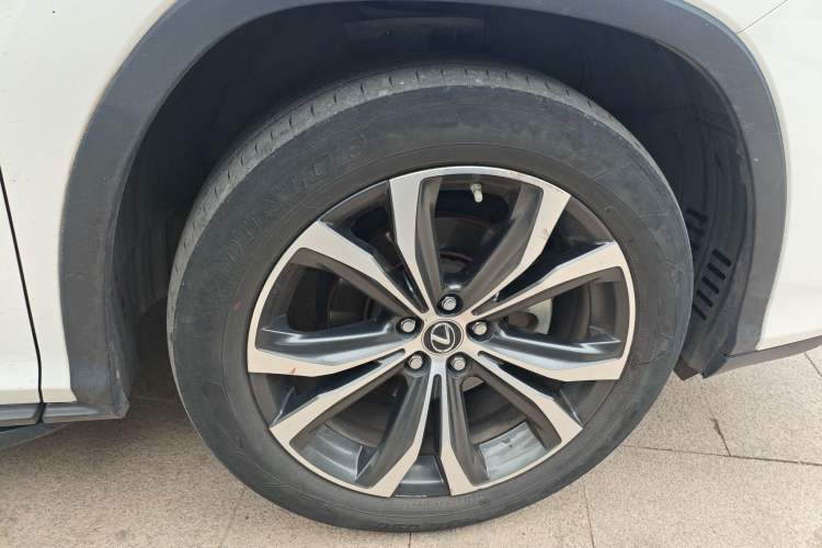Used Lexus RX 2020 Facelifted 300 Four-Wheel Drive Luxury Edition Exterior 7
