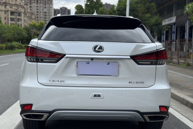 Used Lexus RX 2020 Facelifted 300 4x4 Elegant Edition Exterior 7