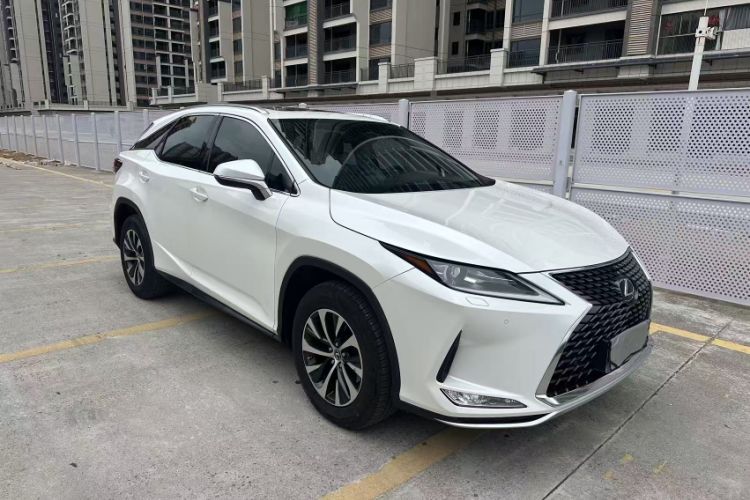 Used Lexus RX 2020 300 Two-Wheel Drive Elite Edition China VI Standard Exterior 7