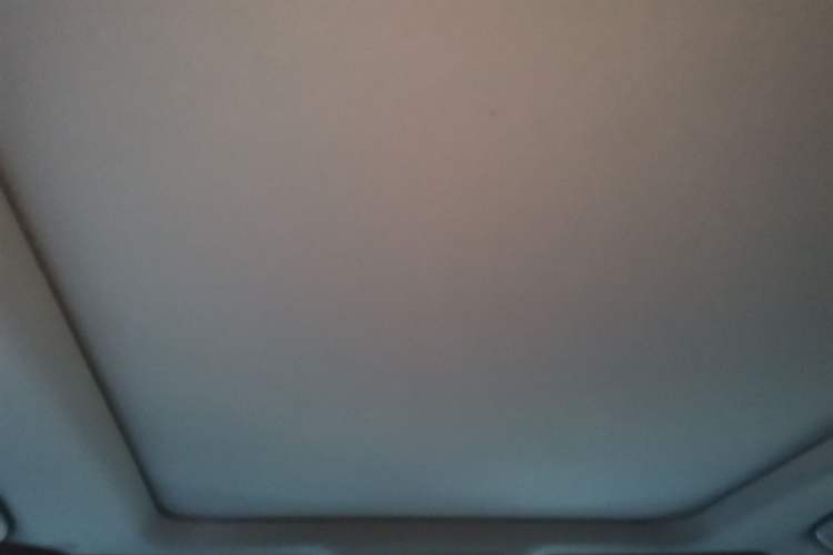 Used Lexus RX 2020 Facelifted 300 4x4 Elegant Edition Headliner
