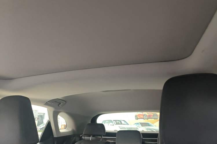 Used Lexus RX 2020 300 Two-Wheel Drive Elite Edition China VI Standard Headliner
