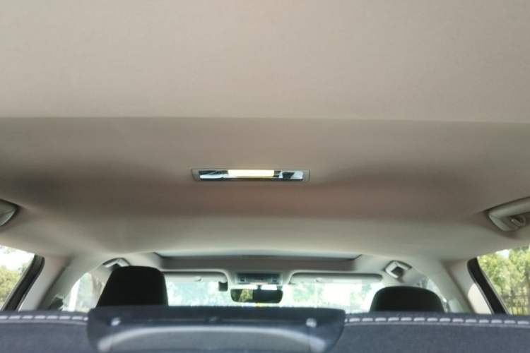 Used Lexus RX 2020 Revised Version 300 Two-Wheel Drive Elite Edition Headliner