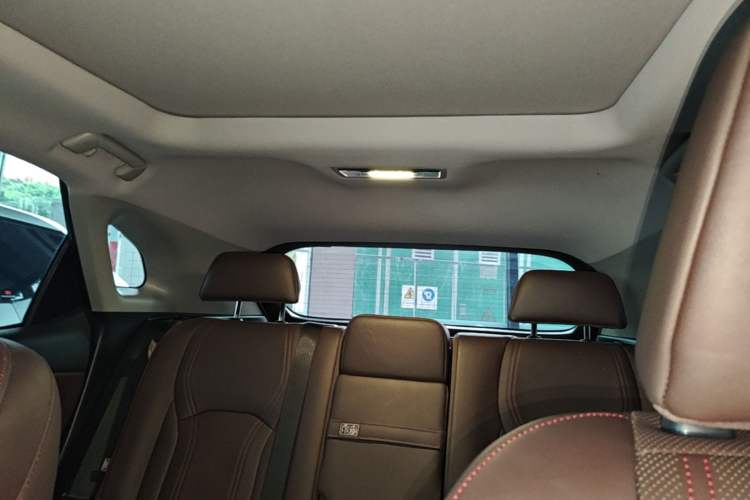 Used Lexus RX 2020 Facelifted 300 4x4 Elegant Edition Headliner