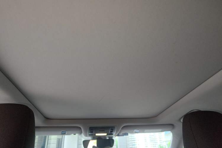 Used Lexus RX 2020 300 4x4 Elegant Edition China VI Headliner