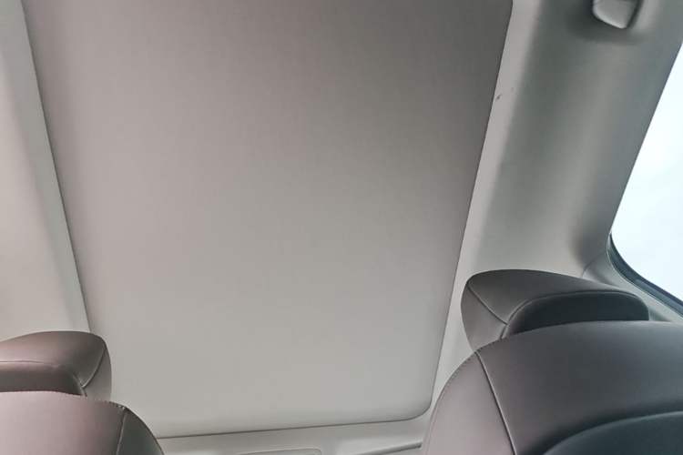 Used Lexus RX 2020 300 4x4 Elegant Edition China VI Headliner