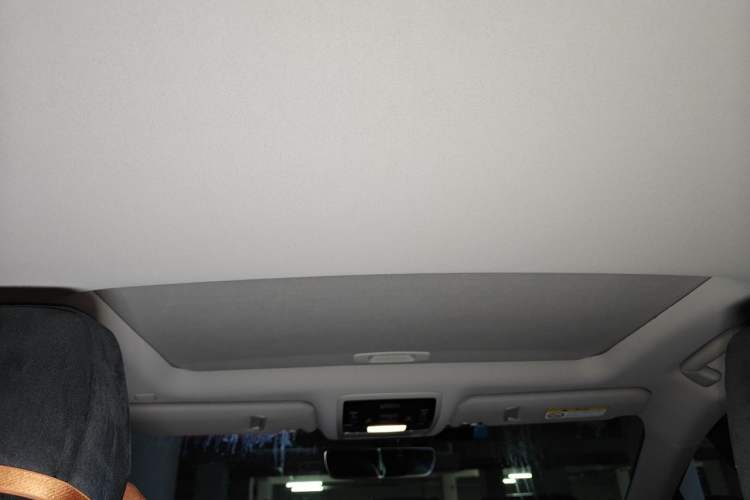 Used Lexus RX 2020 Revised Version 300 Two-Wheel Drive Elite Edition Headliner