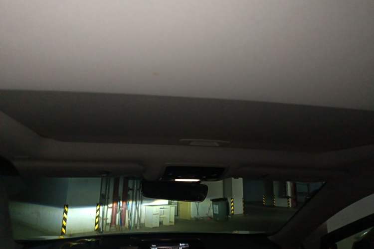 Used Lexus RX 2020 300 Two-Wheel Drive Elite Edition China VI Standard Headliner