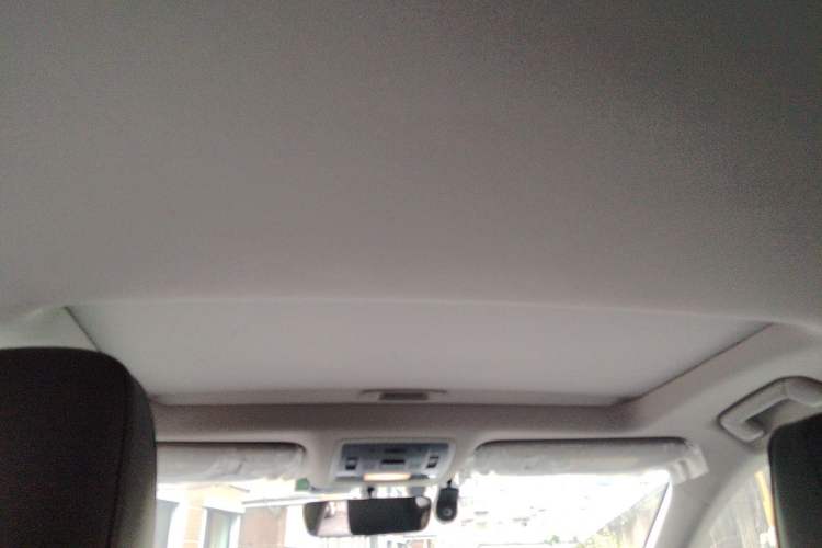 Used Lexus RX 2020 300 Two-Wheel Drive Elite Edition China VI Standard Headliner