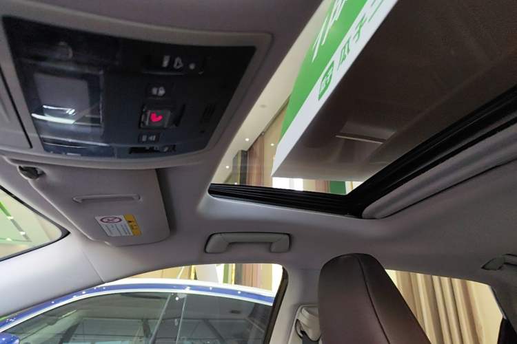 Used Lexus RX 2020 Revised Version 300 Two-Wheel Drive Comfort Edition Headliner