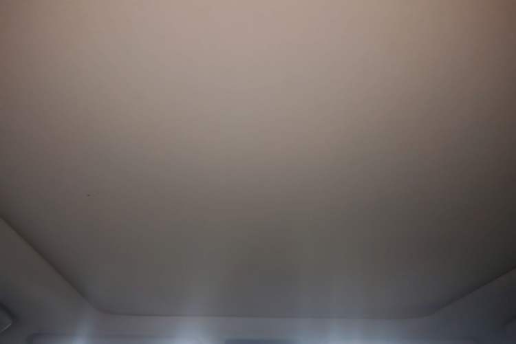 Used Lexus RX 2020 300 4x4 Elegant Edition China VI Headliner