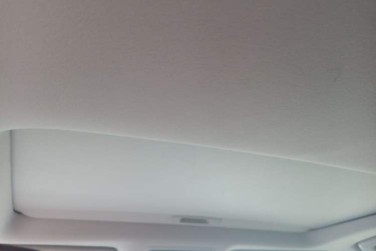 Used Lexus RX 2020 Revised Version 300 Two-Wheel Drive Comfort Edition Headliner