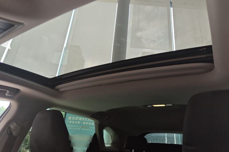 Used Lexus RX 2020 300 Two-Wheel Drive Elite Edition China VI Standard Headliner