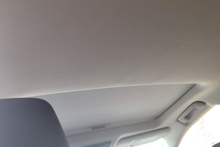 Used Lexus RX 2020 Revised Version 300 Two-Wheel Drive Comfort Edition Headliner