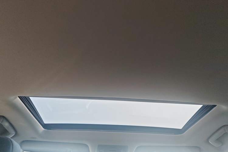 Used Lexus RX 2020 Revised Version 300 Two-Wheel Drive Elite Edition Headliner