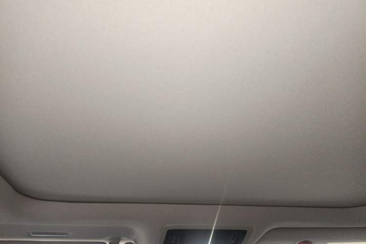 Used Lexus RX 2020 Facelifted 300 4x4 Elegant Edition Headliner