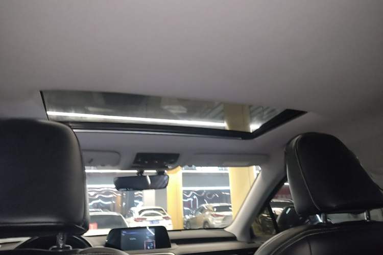 Used Lexus RX 2020 Revised Version 300 Two-Wheel Drive Elite Edition Headliner