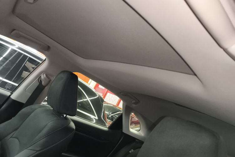 Used Lexus RX 2020 Revised Version 300 Two-Wheel Drive Elite Edition Headliner