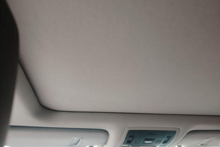 Used Lexus RX 2020 300 4x4 Elegant Edition China VI Headliner