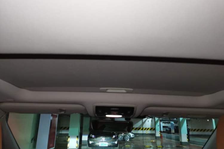 Used Lexus RX 2020 Revised Version 300 Two-Wheel Drive Elite Edition Headliner