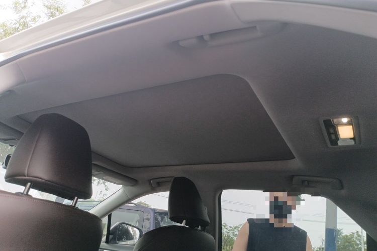 Used Lexus RX 2020 300 4x4 Elegant Edition China VI Headliner